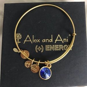 Alex and Ani - Sapphire Birthstone